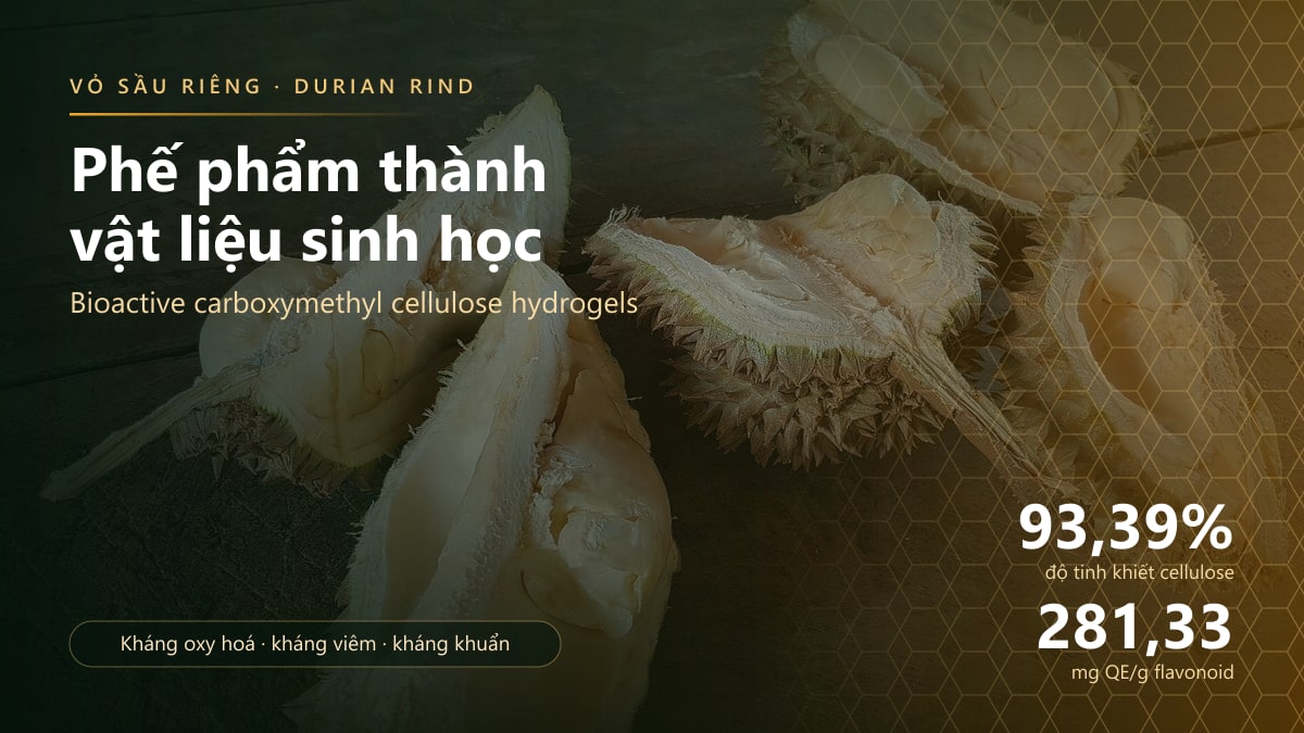 Durian Rind to Bioactive Hydrogel: Dr Nguyễn Hoàng Chinh Publishes in Food Hydrocolloids