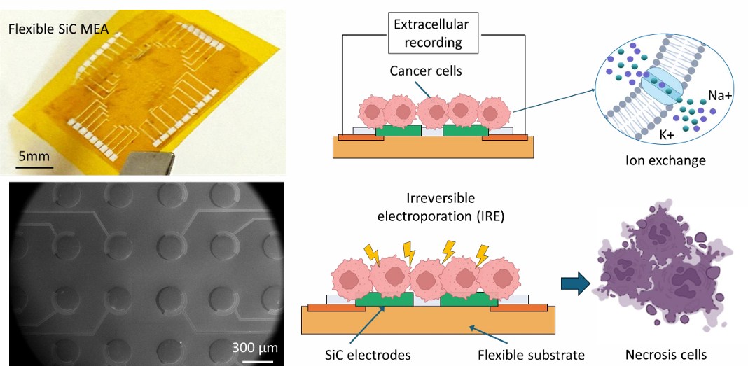 NIC AU Research: Flexible Silicon Carbide Electrode Array Both Monitors and Ablates Cancer Cells